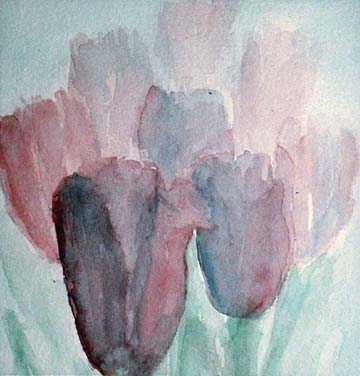 tulips close