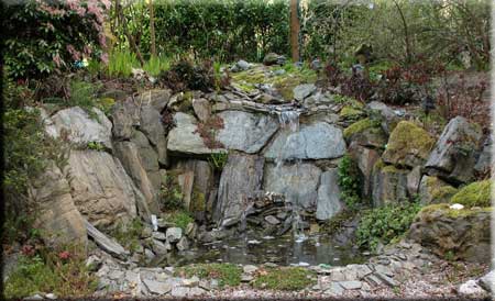 Waterfall Pond