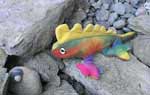 Rainbow Fish
