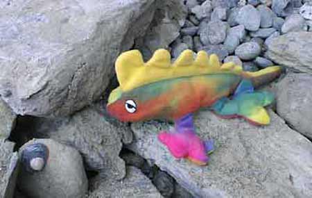Rainbow Fish