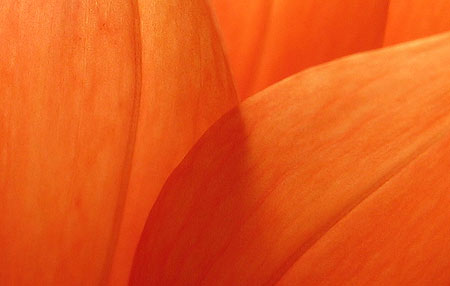 Big Orange