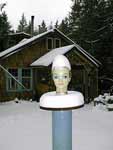 Head In Snow